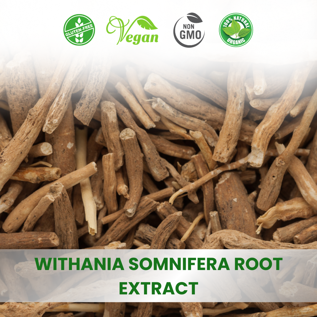 Withania Somnifera Extract (Ashwagandha)